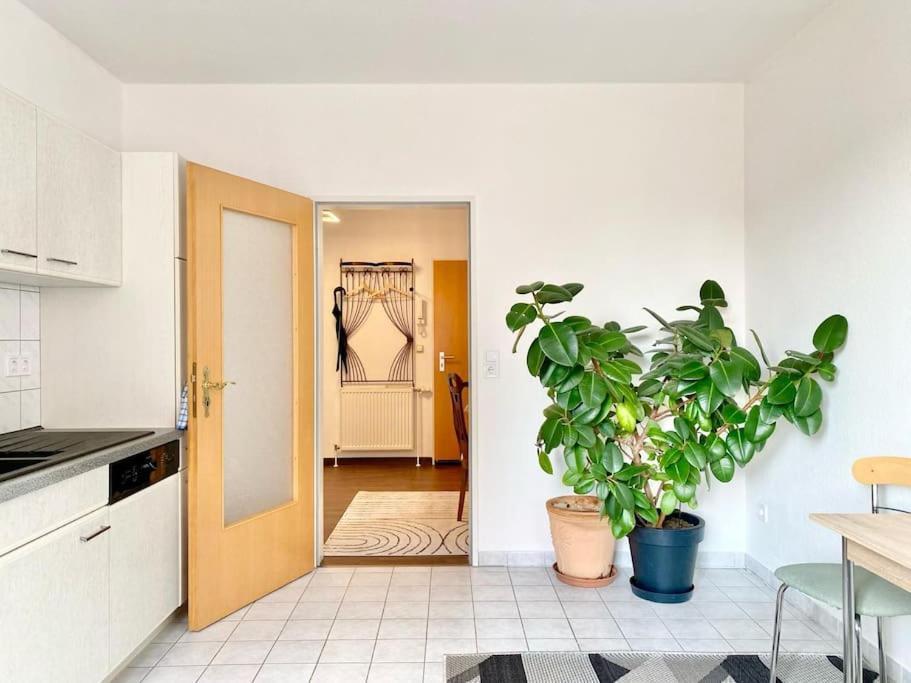 Luxus-Oase In Bad Wilsnack Apartman Kültér fotó